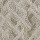 Masland Carpets: Orion Millennium
